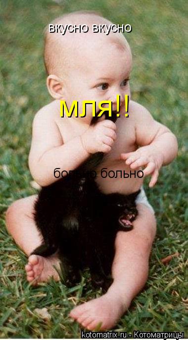 вкусно вкусно больно больно мля!!... Котоматрица: вкусно вкусно больно больно мля!!