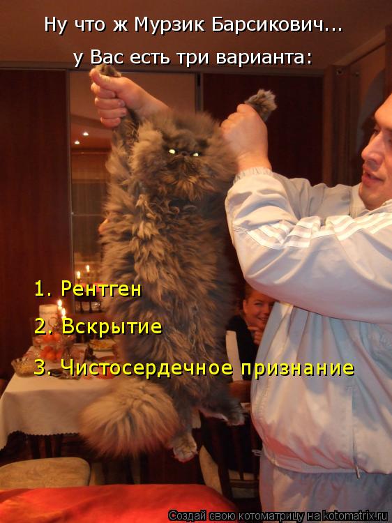 Ну что ж Мурзик Барсикович... у Вас есть три варианта: 1. Рентген 2. Вскрытие 3. Чистосердечное призн... Котоматрица: Ну что ж Мурзик Барсикович... у Вас есть три варианта: 1. Рентген 2. Вскрытие 3. Чистосердечное признание
