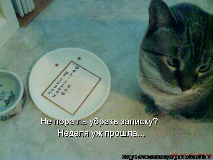 Не пора ль убрать записку? Неделя уж прошла...... Котоматрица: Не пора ль убрать записку? Неделя уж прошла...