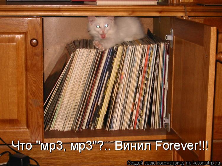 Что "мр3, мр3"?.. Винил Forever!!!... Котоматрица: Что "мр3, мр3"?.. Винил Forever!!!