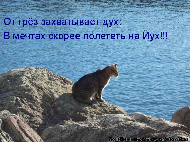 От грёз захватывает дух: В мечтах скорее полететь на Йух!!!... Котоматрица: От грёз захватывает дух: В мечтах скорее полететь на Йух!!!
