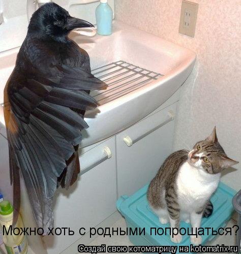 Можно хоть с родными попрощаться?... Котоматрица: Можно хоть с родными попрощаться?