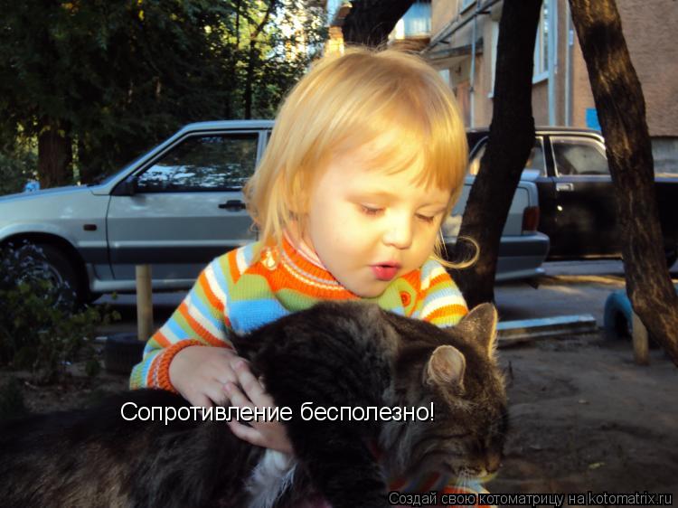 Сопротивление бесполезно!... Котоматрица: Сопротивление бесполезно!