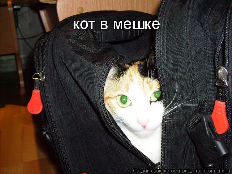 Котоматрица: кот в мешке