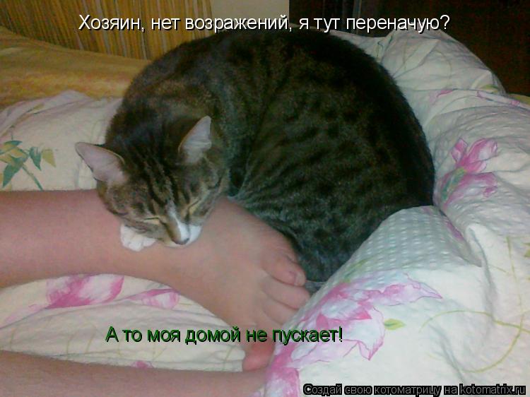 Хозяин, нет возражений, я тут переначую? А то моя домой не пускает!... Котоматрица: Хозяин, нет возражений, я тут переначую? А то моя домой не пускает!
