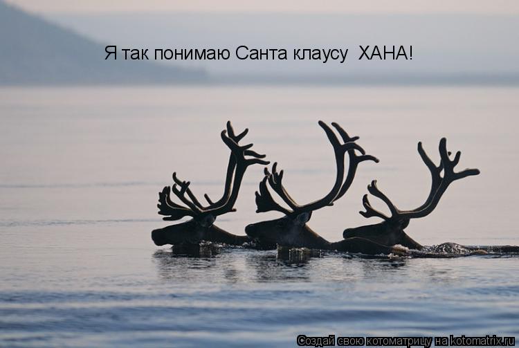 Я так понимаю Санта клаусу ХАНА!... Котоматрица: Я так понимаю Санта клаусу ХАНА!