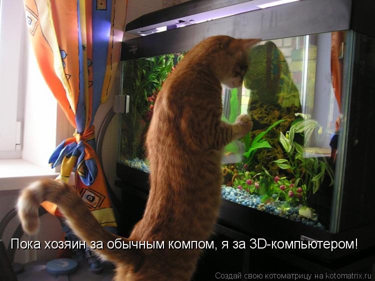 Пока хозяин за обычным компом, я за 3D-компьютером!... Котоматрица: Пока хозяин за обычным компом, я за 3D-компьютером!