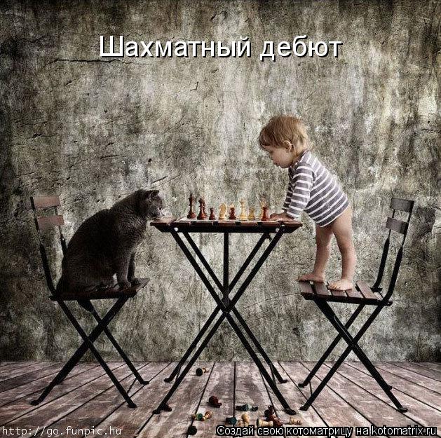 Шахматный дебют... Котоматрица: Шахматный дебют