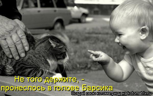 Не того держите, - пронеслось в голове Барсика... Котоматрица: Не того держите, - пронеслось в голове Барсика