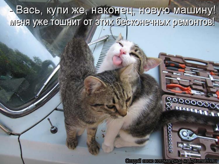 - Вась, купи же, наконец, новую машину! меня уже тошнит от этих бесконечных ремонтов! меня уже тошнит... Котоматрица: - Вась, купи же, наконец, новую машину! меня уже тошнит от этих бесконечных ремонтов! меня уже тошнит от этих бесконечных ремонтов!