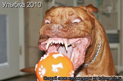 Улыбка 2010... Котоматрица: Улыбка 2010