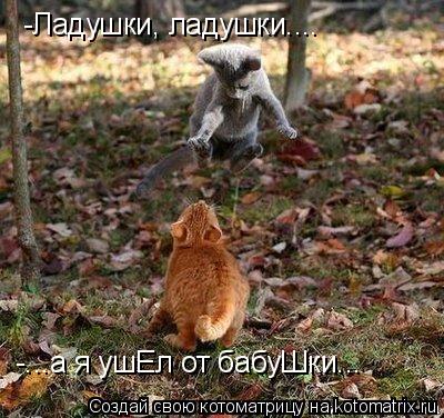 -Ладушки, ладушки.... -...а я ушЕл от бабуШки...... Котоматрица: -Ладушки, ладушки.... -...а я ушЕл от бабуШки...
