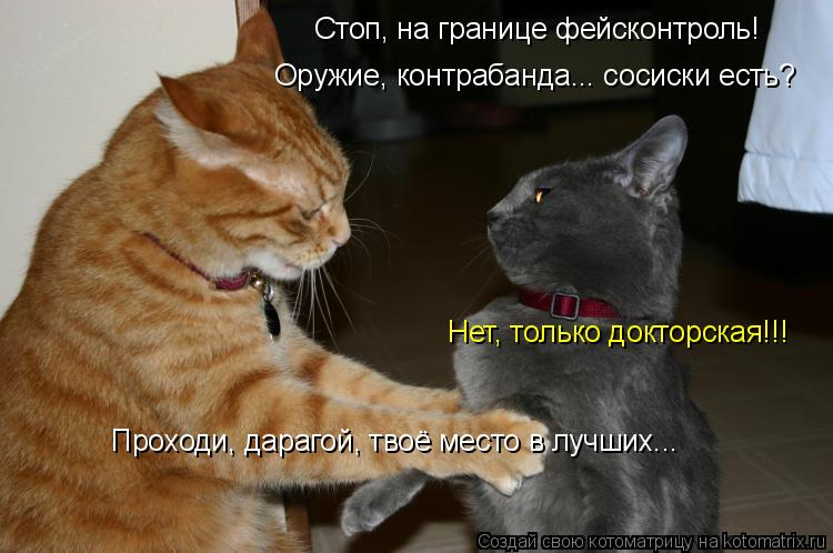 Стоп, на границе фейсконтроль! Оружие, контрабанда... сосиски есть? Нет, только докторская!!! Прохо... Котоматрица: Стоп, на границе фейсконтроль! Оружие, контрабанда... сосиски есть? Нет, только докторская!!! Проходи, дарагой, твоё место в лучших...