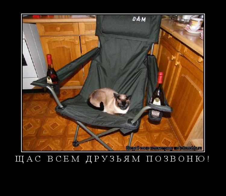 Щас всем друзьям позвоню! ... Котоматрица: Щас всем друзьям позвоню!