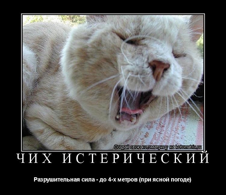 ЧИХ ИСТЕРИЧЕСКИЙ Разрушительная сила - до 4-х метров (при ясной погоде)... Котоматрица: ЧИХ ИСТЕРИЧЕСКИЙ Разрушительная сила - до 4-х метров (при ясной погоде)