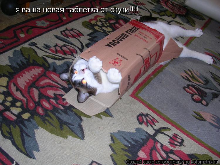 я ваша новая таблетка от скуки!!!!... Котоматрица: я ваша новая таблетка от скуки!!!!