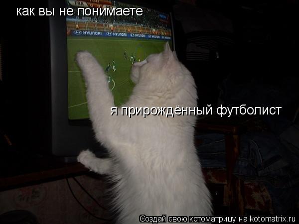 как вы не понимаете я прирождённый футболист... Котоматрица: как вы не понимаете я прирождённый футболист
