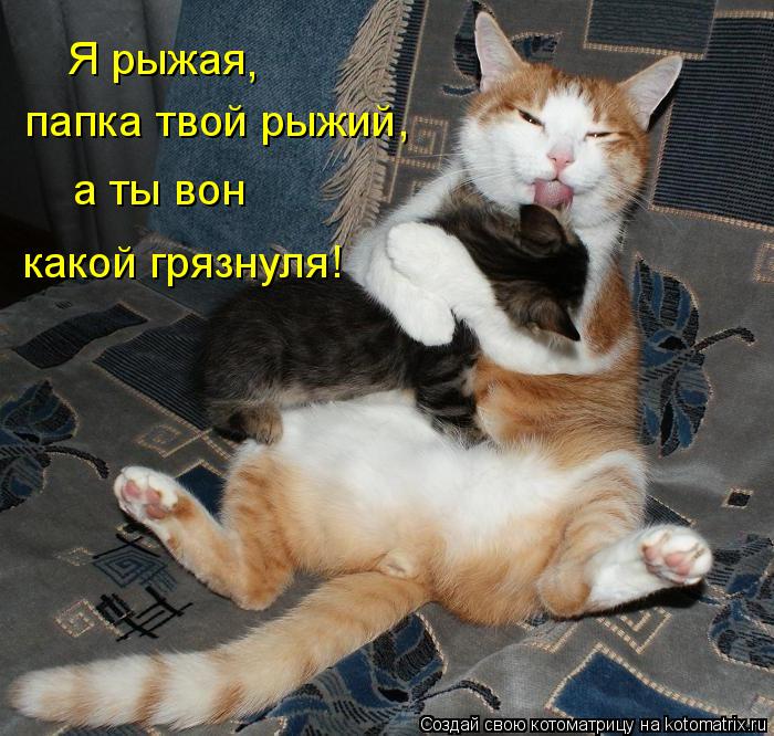 Я рыжая , папка твой рыжий, а ты вон какой грязнуля!... Котоматрица: Я рыжая , папка твой рыжий, а ты вон какой грязнуля!