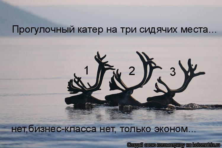 Прогулочный катер на три сидячих места... 1 2 3 нет,бизнес-класса нет, только эконом...... Котоматрица: Прогулочный катер на три сидячих места... 1 2 3 нет,бизнес-класса нет, только эконом...