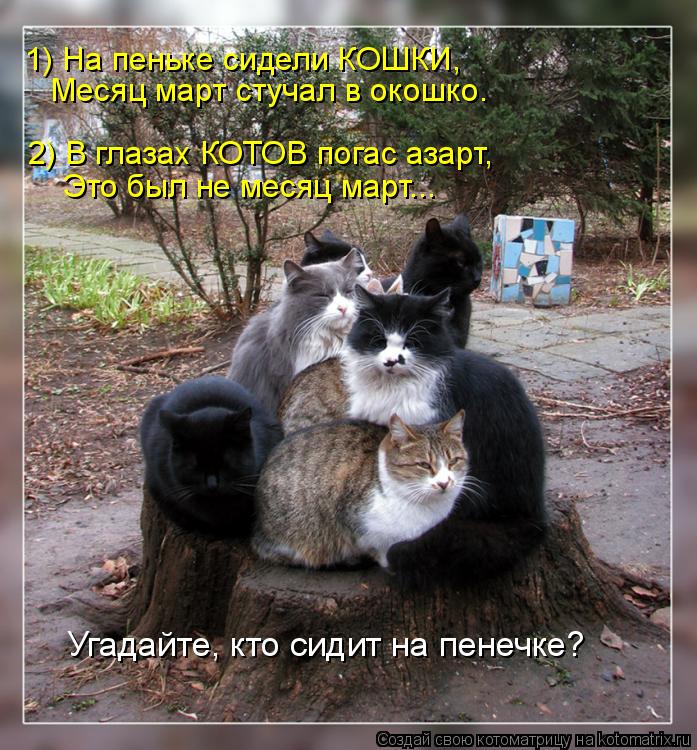 Месяц март стучал в окошко. 2) В глазах КОТОВ погас азарт, Это был не месяц март... 1) На пеньке сиде... Котоматрица: Месяц март стучал в окошко. 2) В глазах КОТОВ погас азарт, Это был не месяц март... 1) На пеньке сидели КОШКИ, Угадайте, кто сидит на пенечке?