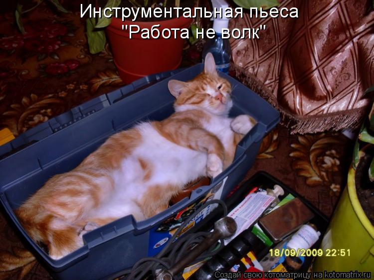 Инструментальная пьеса "Работа не волк"... Котоматрица: Инструментальная пьеса "Работа не волк"