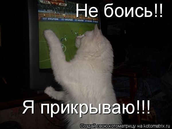 Не боись!! Я прикрываю!!!... Котоматрица: Не боись!! Я прикрываю!!!