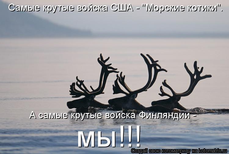 Самые крутые войска США - "Морские котики". А самые крутые войска Финляндии - мы!!!... Котоматрица: Самые крутые войска США - "Морские котики". А самые крутые войска Финляндии - мы!!!