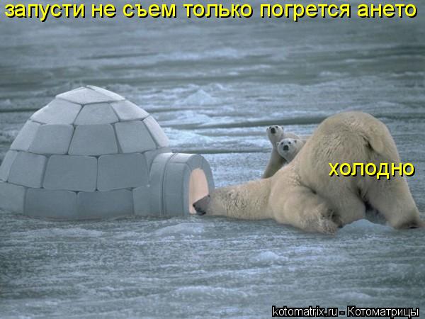 запусти не съем только погрется ането холодно... Котоматрица: запусти не съем только погрется ането холодно