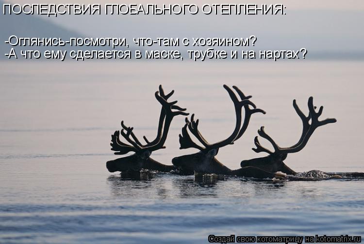 -Оглянись-посмотри, что-там с хозяином? -А что ему сделается в маске, трубке и на нартах? ПОСЛЕДСТВИЯ... Котоматрица: -Оглянись-посмотри, что-там с хозяином? -А что ему сделается в маске, трубке и на нартах? ПОСЛЕДСТВИЯ ГЛОБАЛЬНОГО ОТЕПЛЕНИЯ: