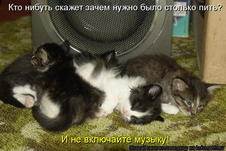 Кто нибуть скажет зачем нужно было столько пить? И не включайте музыку!... Котоматрица: Кто нибуть скажет зачем нужно было столько пить? И не включайте музыку!