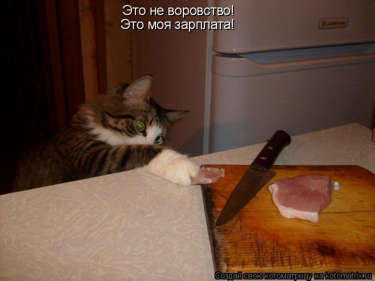 Это не воровство! Это моя зарплата!... Котоматрица: Это не воровство! Это моя зарплата!