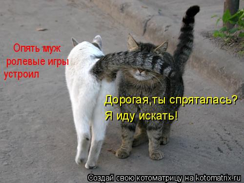Дорогая,ты спряталась? Я иду искать! Опять муж ролевые игры устроил... Котоматрица: Дорогая,ты спряталась? Я иду искать! Опять муж ролевые игры устроил