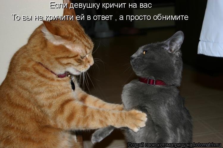 Если девушку кричит на вас То вы не кричити ей в ответ , а просто обнимите... Котоматрица: Если девушку кричит на вас То вы не кричити ей в ответ , а просто обнимите
