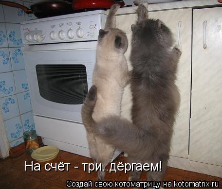 На счёт - три..дёргаем!... Котоматрица: На счёт - три..дёргаем!