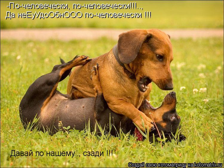 -По-человечески, по-человечески!!!.., Да неЕуУдоОбнООО по-человечески !!! Давай по нашему.., сзади !!... Котоматрица: -По-человечески, по-человечески!!!.., Да неЕуУдоОбнООО по-человечески !!! Давай по нашему.., сзади !!!