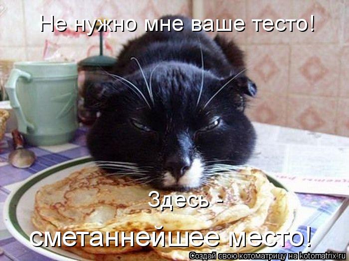 Здесь - сметаннейшее место! Не нужно мне ваше тесто!... Котоматрица: Здесь - сметаннейшее место! Не нужно мне ваше тесто!