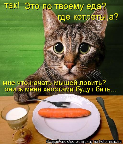 так! Это по твоему еда? где котлеты,а? мне что,начать мышей ловить? они ж меня хвостами будут бить..... Котоматрица: так! Это по твоему еда? где котлеты,а? мне что,начать мышей ловить? они ж меня хвостами будут бить...
