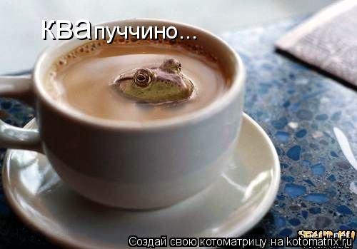 ква пуччино...... Котоматрица: ква пуччино...
