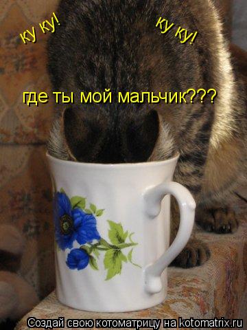 ку ку! ку ку! где ты мой мальчик???... Котоматрица: ку ку! ку ку! где ты мой мальчик???