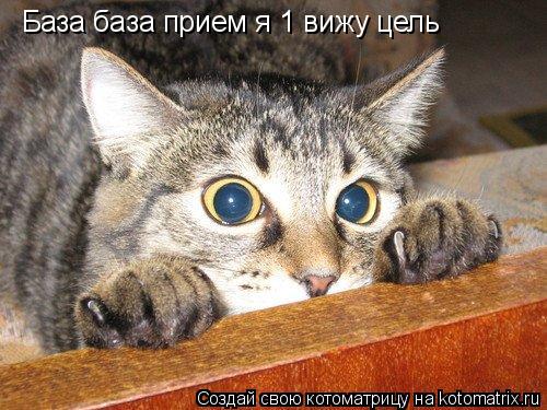 База база прием я 1 вижу цель... Котоматрица: База база прием я 1 вижу цель
