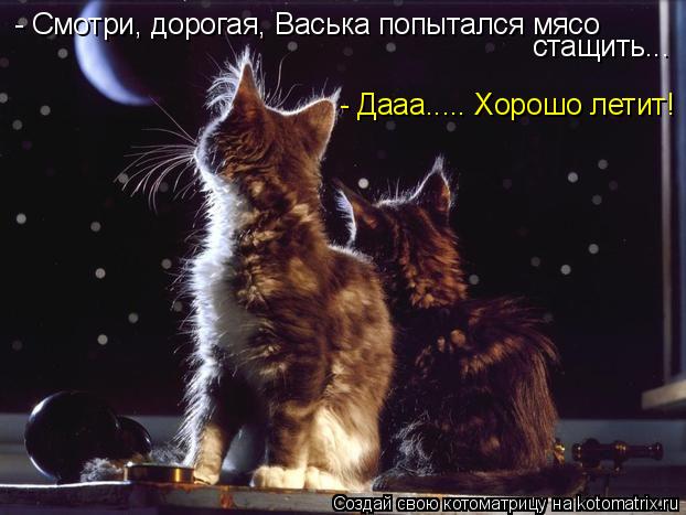 - Смотри, дорогая, Васька попытался мясо стащить... - Дааа..... Хорошо летит!... Котоматрица: - Смотри, дорогая, Васька попытался мясо стащить... - Дааа..... Хорошо летит!