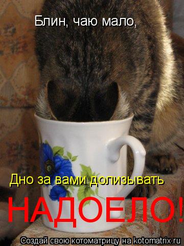 Блин, чаю мало, Дно за вами долизывать НАДОЕЛО!... Котоматрица: Блин, чаю мало, Дно за вами долизывать НАДОЕЛО!
