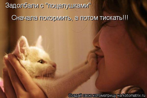 Задолбали с "поцелушками" Сначала покормить, а потом тискать!!!... Котоматрица: Задолбали с "поцелушками" Сначала покормить, а потом тискать!!!