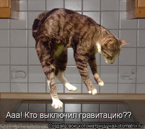 Ааа! Кто выключил гравитацию??... Котоматрица: Ааа! Кто выключил гравитацию??