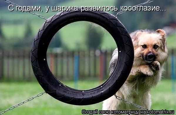 С годами, у шарика развилось косоглазие...... Котоматрица: С годами, у шарика развилось косоглазие...