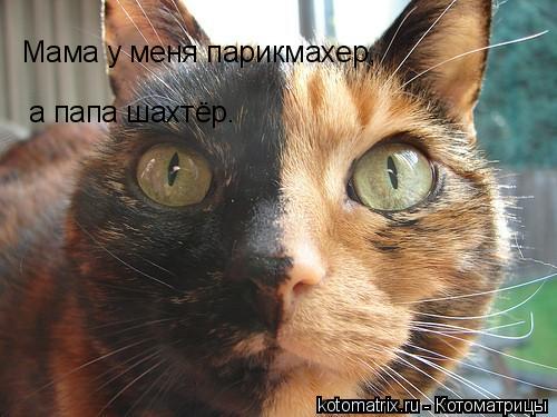 Мама у меня парикмахер, а папа шахтёр. Вот я такая странная и уродилась...... Котоматрица: Мама у меня парикмахер, а папа шахтёр. Вот я такая странная и уродилась...