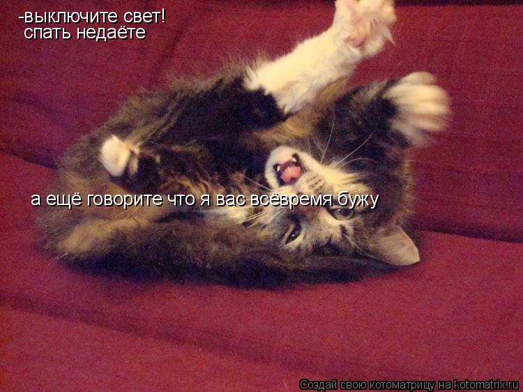 -выключите свет! спать недаёте а ещё говорите что я вас всёвремя бужу... Котоматрица: -выключите свет! спать недаёте а ещё говорите что я вас всёвремя бужу