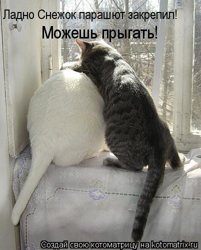 Ладно Снежок парашют закрепил! Можешь прыгать!... Котоматрица: Ладно Снежок парашют закрепил! Можешь прыгать!