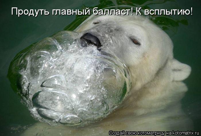 Продуть главный балласт! К всплытию!... Котоматрица: Продуть главный балласт! К всплытию!