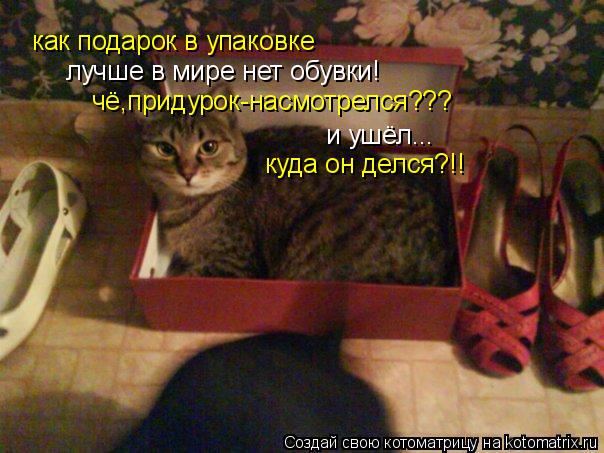 как подарок в упаковке лучше в мире нет обувки! чё,придурок-насмотрелся??? и ушёл... куда он делся?!!... Котоматрица: как подарок в упаковке лучше в мире нет обувки! чё,придурок-насмотрелся??? и ушёл... куда он делся?!!